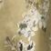 Olive Green Watercolor Floral
