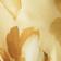 Gold Painted Floral
