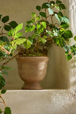 Double Band Terracotta Urn Planter
