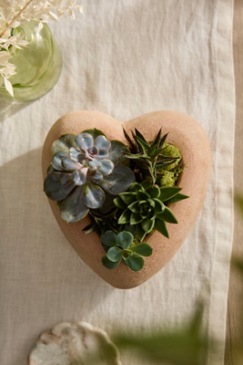 Terrain Terracotta Heart Bowl Planter In Brown