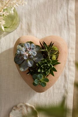 Terracotta Heart Bowl Planter