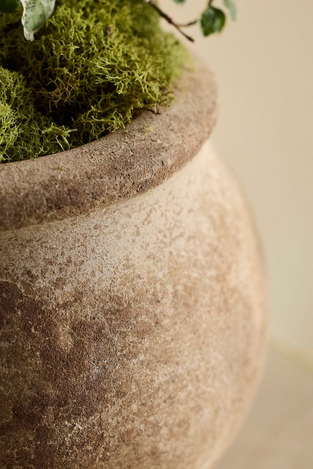Weathered Terracotta Jar Planter #1