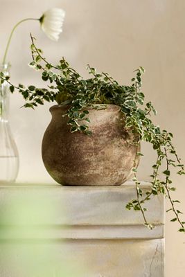 Weathered Terracotta Jar Planter