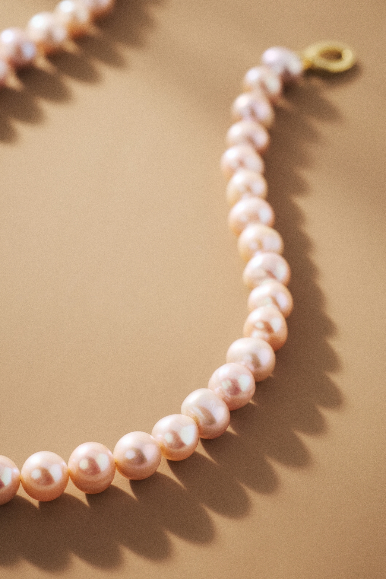 Shashi Rose Pearl Strand Necklace