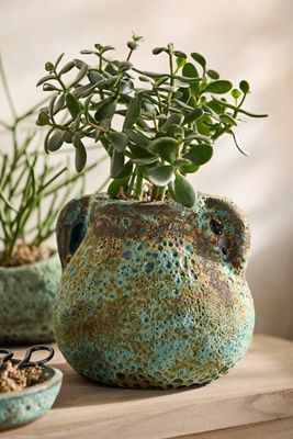 Barnacle Amphora Pot