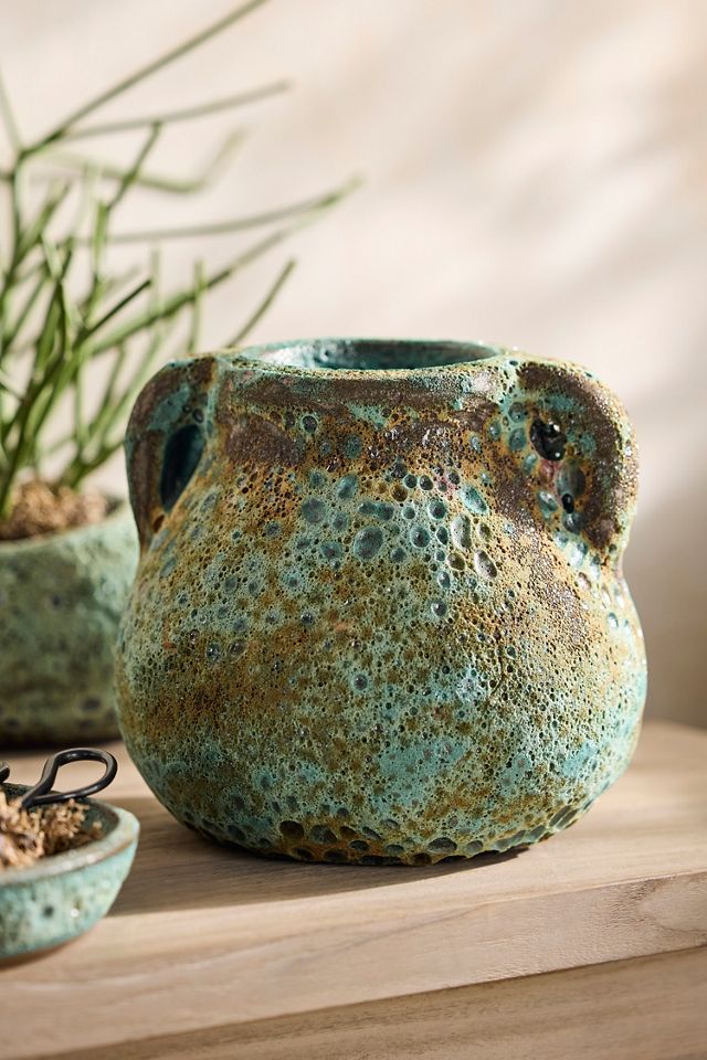 Barnacle Amphora Pot #1