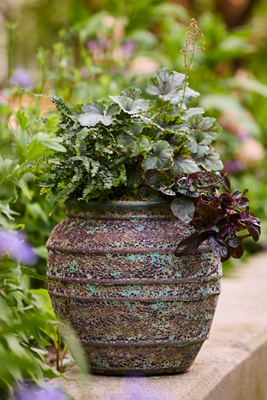 Terrain Barnacle Banded Olive Jar Planter