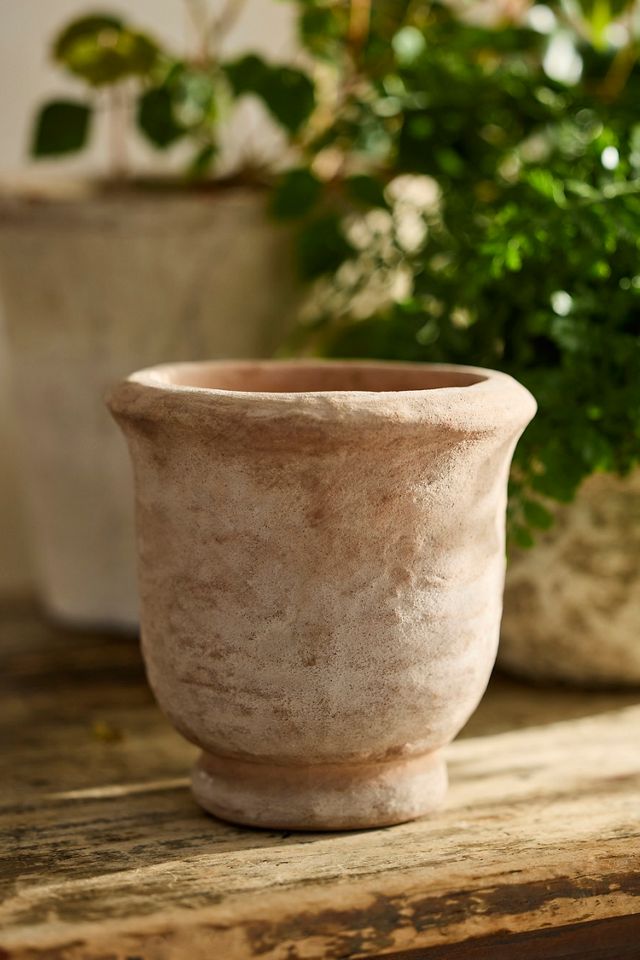 Rolled Rim Terracotta Urn Planter #1