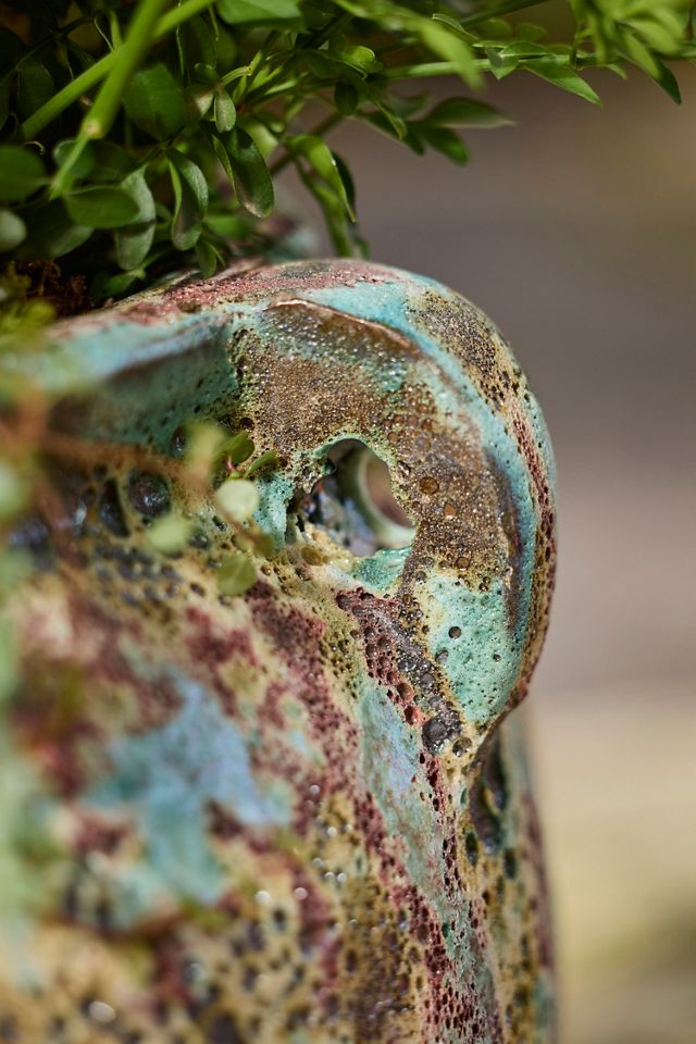 Glazed Barnacle Olive Jar Planter #1