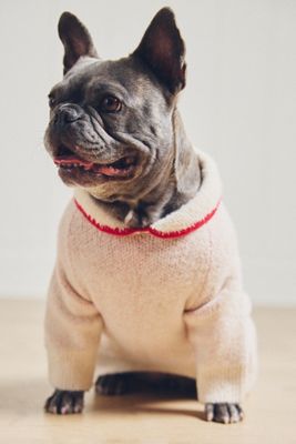 FURB All Wrapped Up Pet Sweater