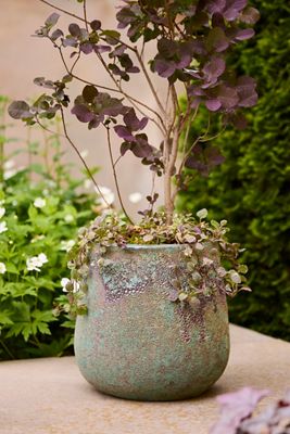 Barnacle Tall Droplet Planter