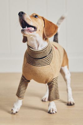 FURB Ciao Dog Sweater
