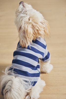 FURB Cooper Striped Pet Sweatshirt