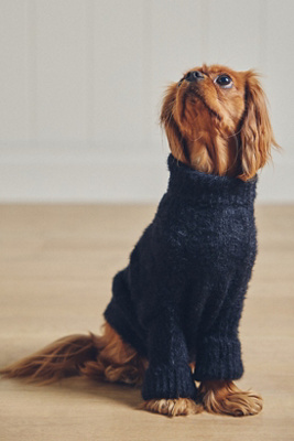 Furb Bobbi Eyelash Knit Pet Sweater In Blue