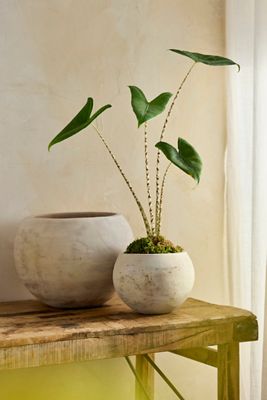 White Terracotta Globe Planter