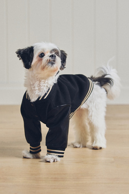 Furb Leader Of The Pack Letterman Pet Jacket In Black