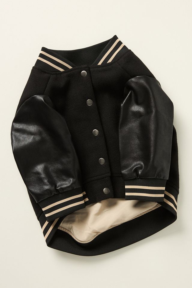 FURB Leader of the Pack Letterman Pet Jacket #1