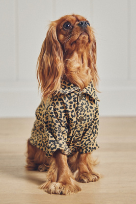 Furb Ozzie Leopard Denim Pet Jacket In Brown