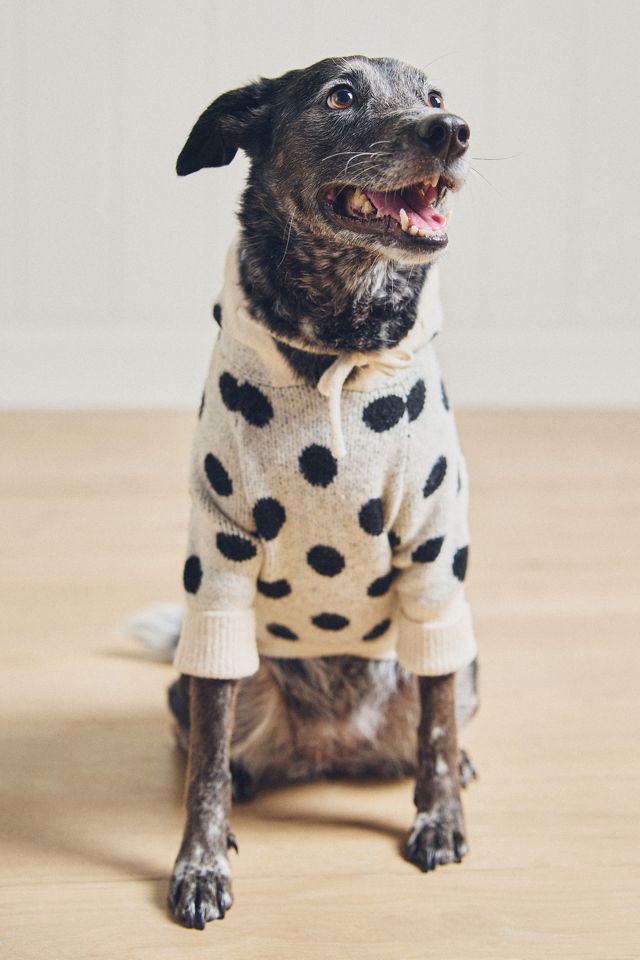 FURB Venice Hooded Pet Sweater #1