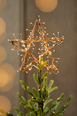 Terrain Twinkling Illuminated Vine Star Tree Topper