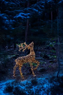 Illuminated Vine Prancing Reindeer