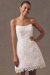 Anne Barge XOXO Off-The-Shoulder Embellished Lace A-Line Mini Dress