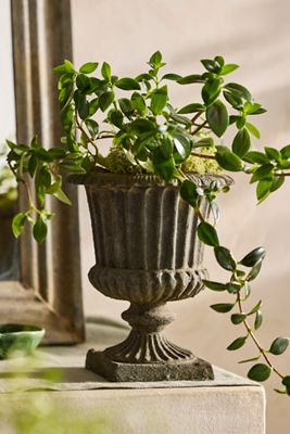Cast Iron Linea Urn Planter