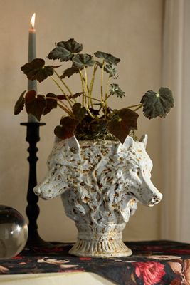 Cast Iron Lupus Urn Planter