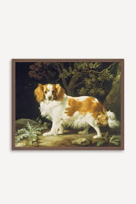 Anthropologie King Charles Spaniel By George Stubbs Wall Art In Multi