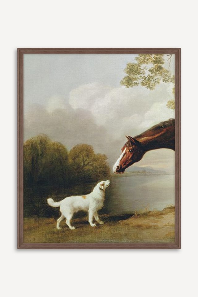 Bay Horse and White Dog - Focus Wall Art #1