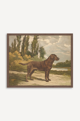 Anthropologie Setter Stance By Reuben Ward Binks Wall Art In Brown