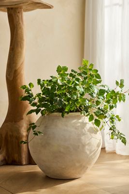 Rounded Jar Terracotta Planter