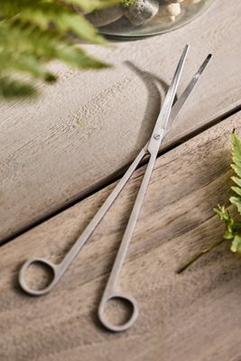 Terrarium Scissors
