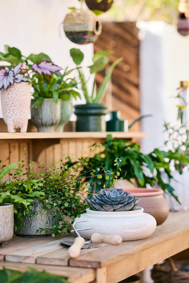 Sneeboer Arends Trowel #6