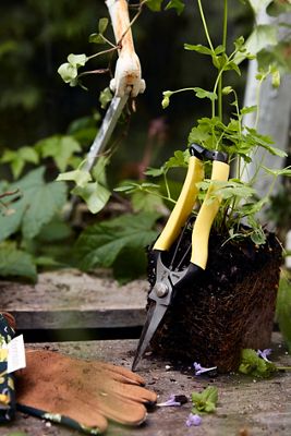 Niwaki Lightweight Hybrid Snips