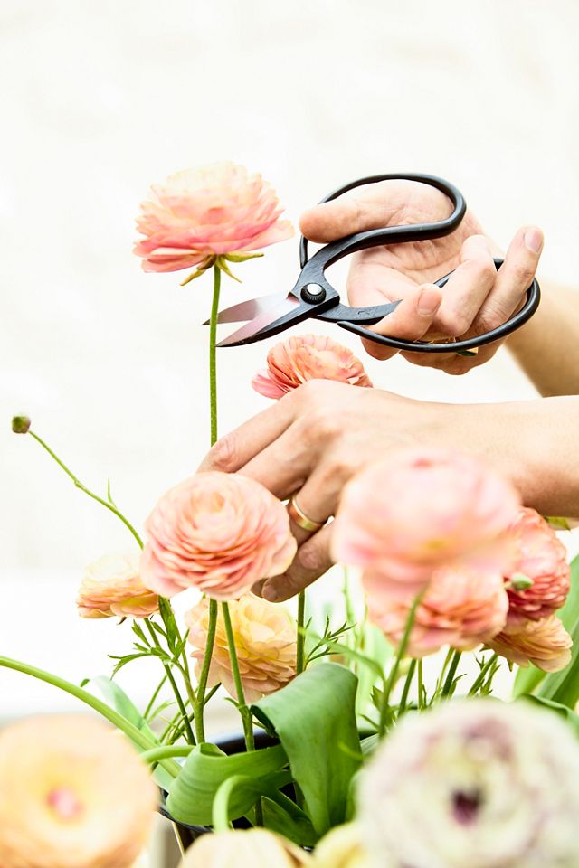 Niwaki Garden Scissor Gift Set #2