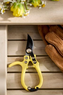Pruning Shears