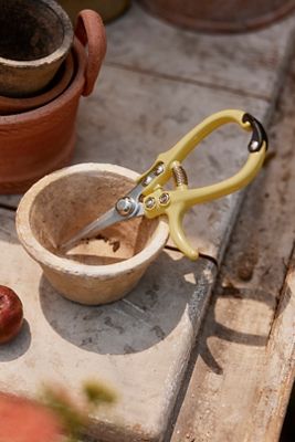 Pruner Snips