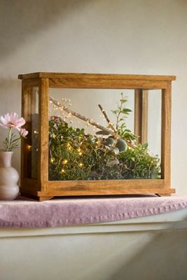 Terrariums: Glass Terrariums + Terrarium Supplies | Terrain