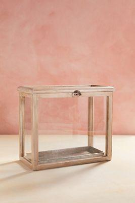 Terrarium Display Box