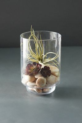 Tall Footed Cylinder Terrarium