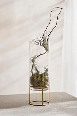 Glass + Gold Stand Terrarium