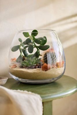 Polished Drop Terrarium, Small