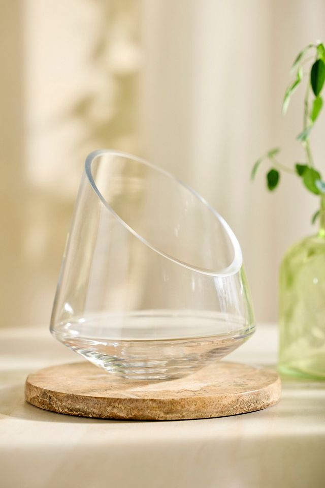 Angled Edge Terrarium #1