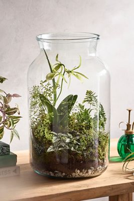 Recycled Glass Jar Terrarium