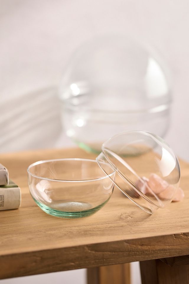 Recycled Glass Ball Terrarium #6