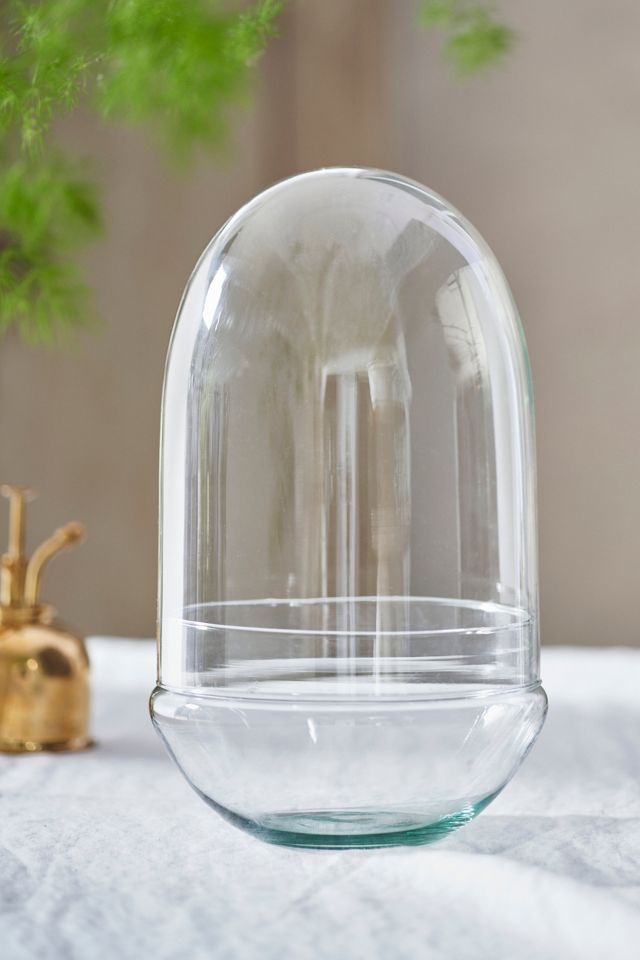 Recycled Glass Oval Terrarium #2