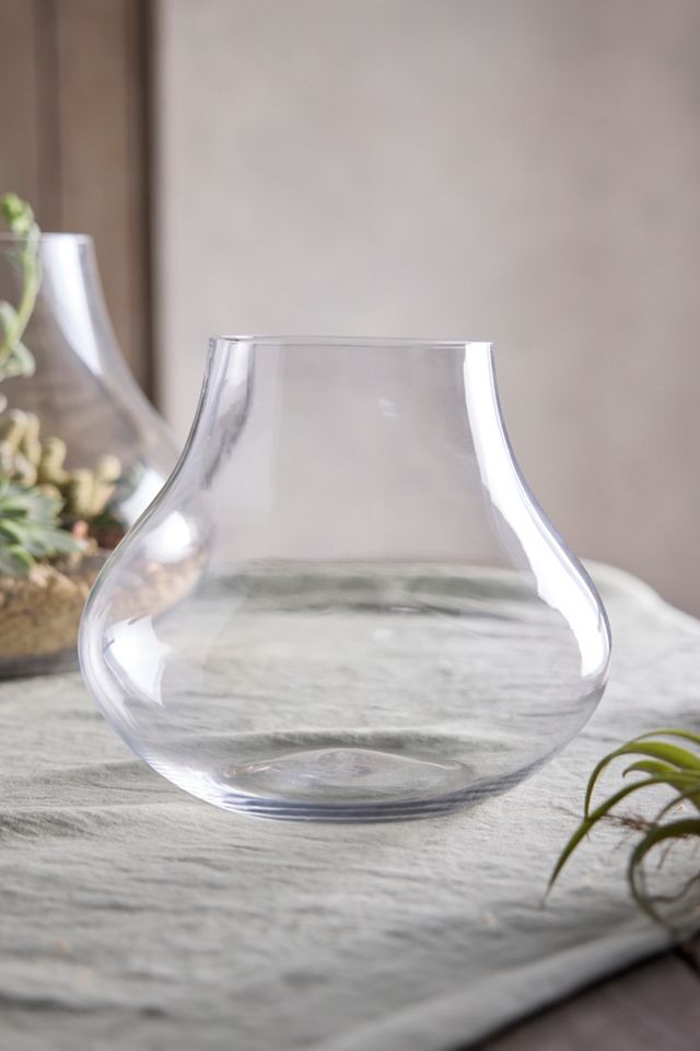 Glass Bell Terrarium #3