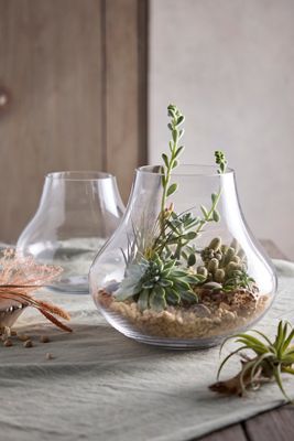 Glass Bell Terrarium
