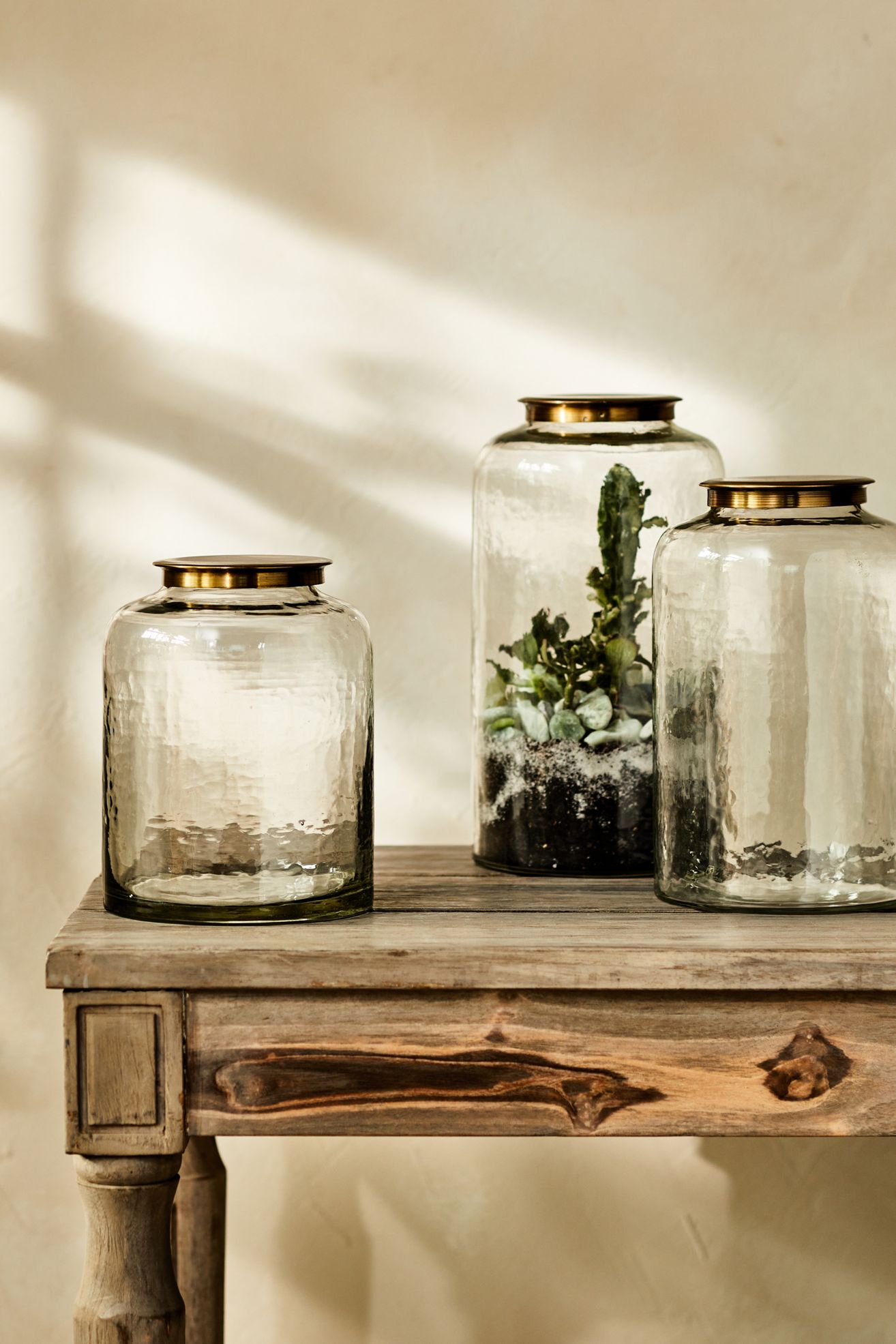 Hammered Glass Terrarium with Lid - Multi, S